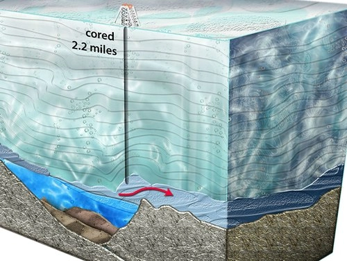 Phát hiện sự sống dưới lớp băng dày ở nam cực - 1