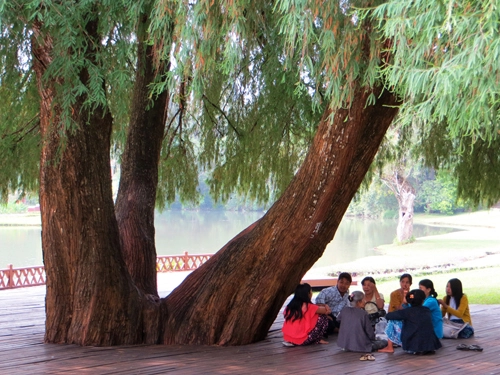 Pyin oo lwin có một đà lạt trong lòng myanmar - 5