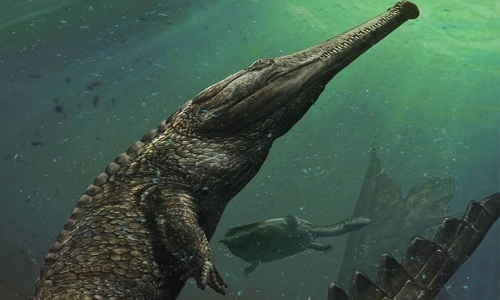 Quái vật cá sấu cổ đại nặng ba tấn sống dưới biển - 1