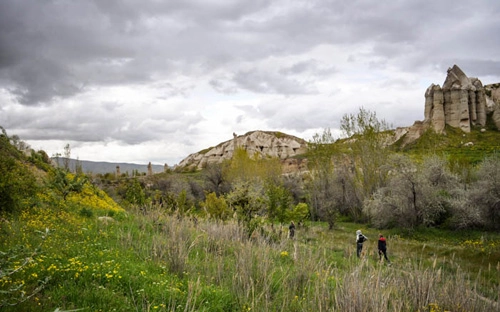 rừng dương vật ở cappadocia - 6