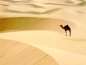 Sahara - đệ nhất sa mạc - 1