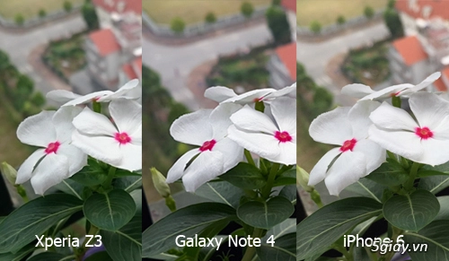 Sony xperia z3 thắng nghẹt thở note 4 trong bình chọn camera - 2