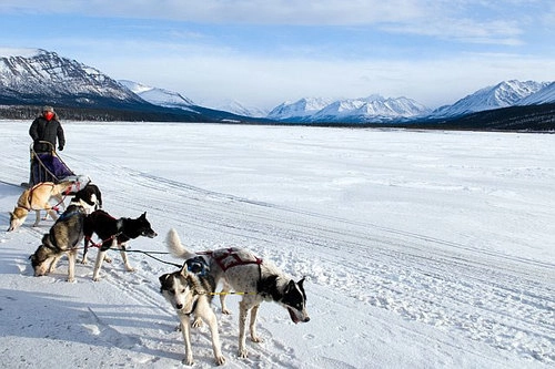 Thế giới trong lòng thiên đường băng alaska - 2