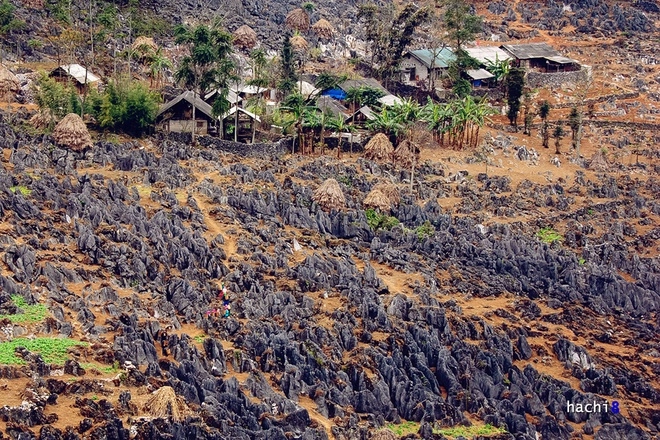 Thiên đường xám trên cao nguyên đá đồng văn - 7