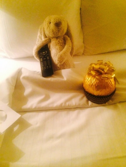 Thỏ bông đi lạc được khách sạn đối đãi như khách vip - 2