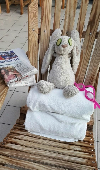 Thỏ bông đi lạc được khách sạn đối đãi như khách vip - 3
