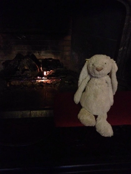Thỏ bông đi lạc được khách sạn đối đãi như khách vip - 6
