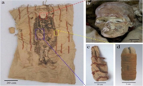Thỏi son làm từ tim động vật 3600 năm tuổi chôn cùng xác ướp - 2
