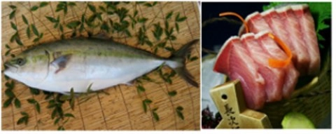 Thưởng thức sashimi cá cam nhật bản - 1