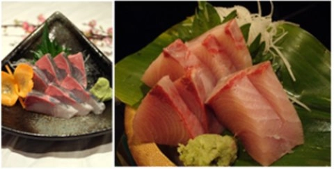 Thưởng thức sashimi cá cam nhật bản - 2