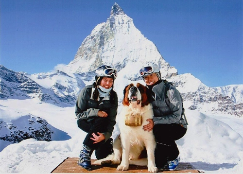 Thụy sĩ cấm chụp ảnh tự sướng cùng chó - 2