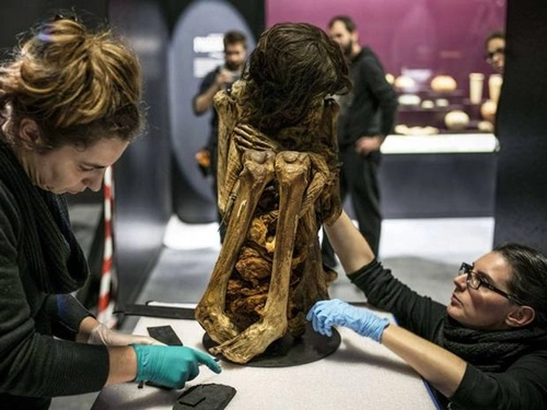 Trưng bày xác ướp nguyên vẹn 1000 năm tuổi - 1