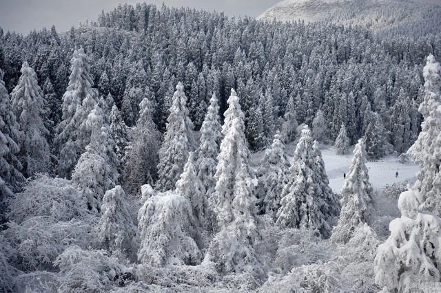 Tuyết bao phủ khắp trung quốc đẹp như trong phim - 9