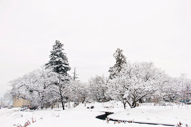 Tuyết trắng phủ kín thành phố kitakata - 3