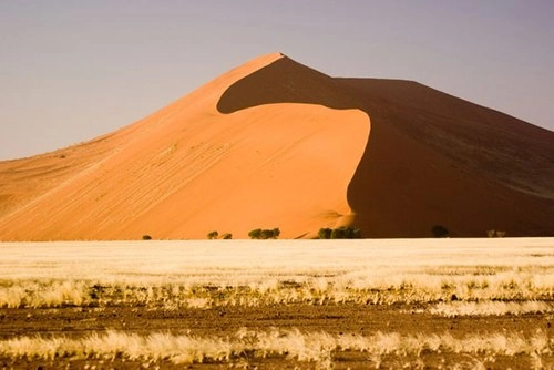Vẻ đẹp của sa mạc namib - 2