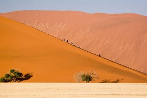 Vẻ đẹp của sa mạc namib - 3