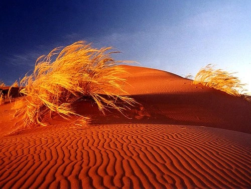 Vẻ đẹp của sa mạc namib - 4