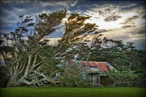 Vùng đất máy sấy tóc ở miền nam new zealand - 2