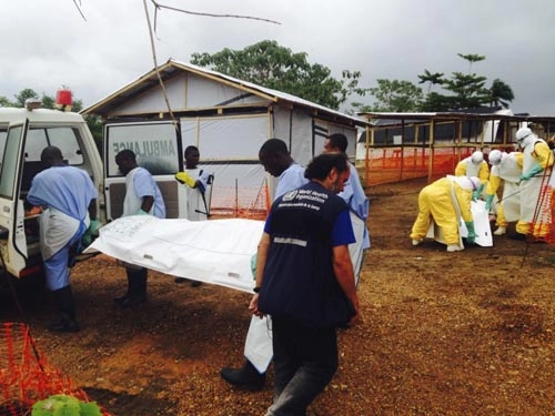 Xác định virus ebola trong 30 phút - 1