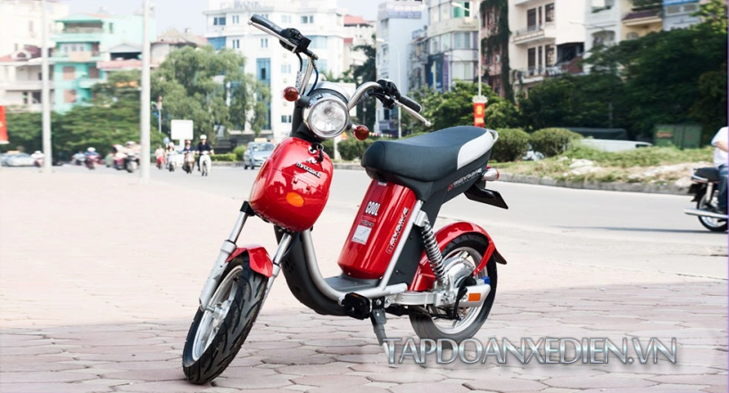 Xe đạp điện maxbike cool giảm nỗi lo hàng giả - 5