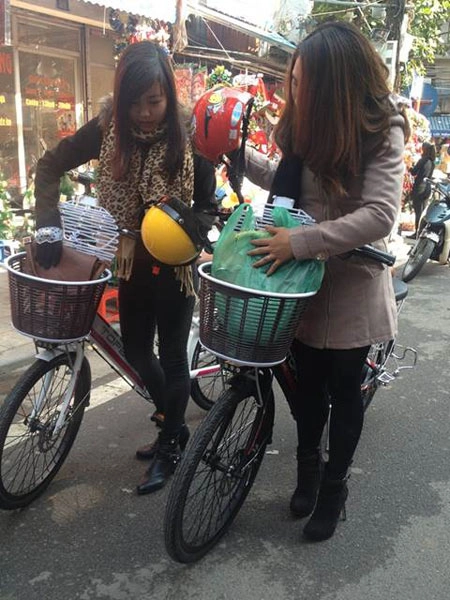 Xe đạp điện vietbike - sự lựa chọn thông minh - 5