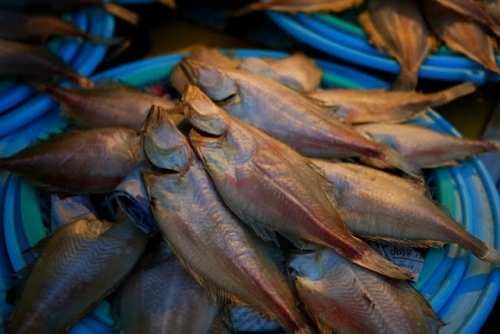 Ăn thịt cá mập trong chợ hải sản hàn quốc - 7