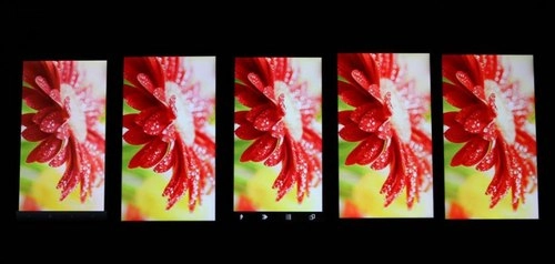 Ảnh so sánh màn hình 5 mẫu smartphone màn hình khủng - 3