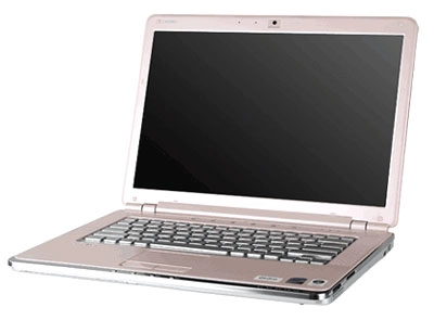 bóng hồng sony vaio vgn-cr510e - 3