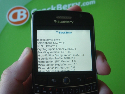 Cận cảnh blackberry onyx - 2