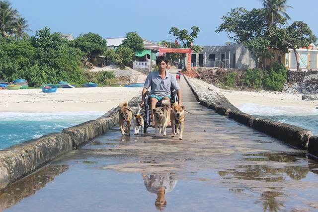 Đảo bé lý sơn thiên đường du lịch biển đảo đầu xuân - 15