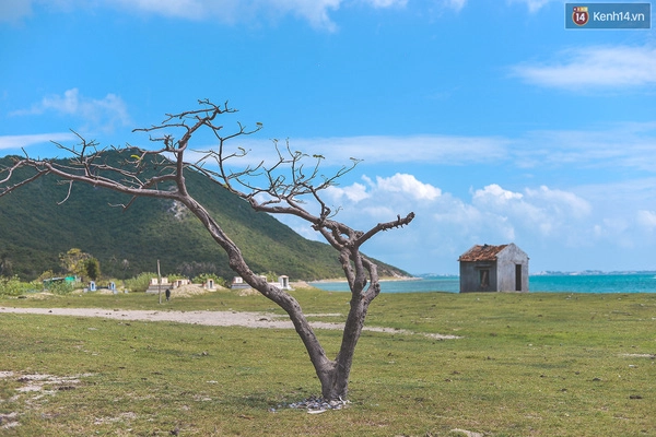 Điệp sơn - hòn đảo hot nhất hè 2016 nếu bạn muốn đi biển - 1