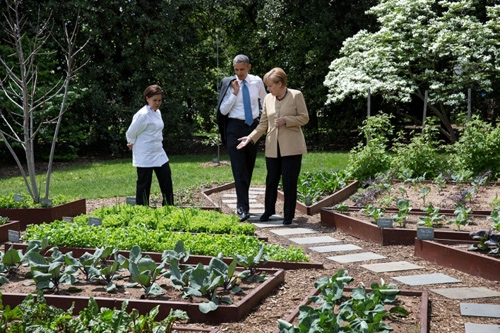 Gia đình obama mời người dân vào thăm vườn rau - 4