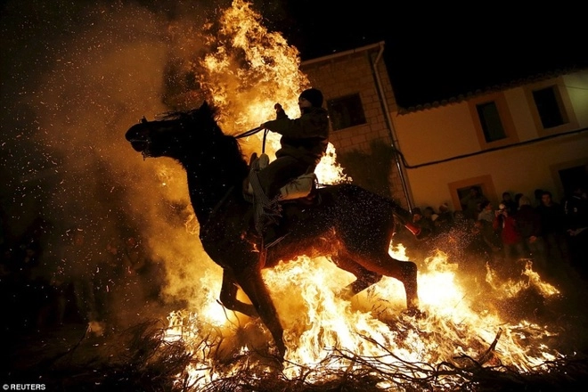 Lễ hội phi ngựa qua lửa độc đáo ở tây ban nha - 5