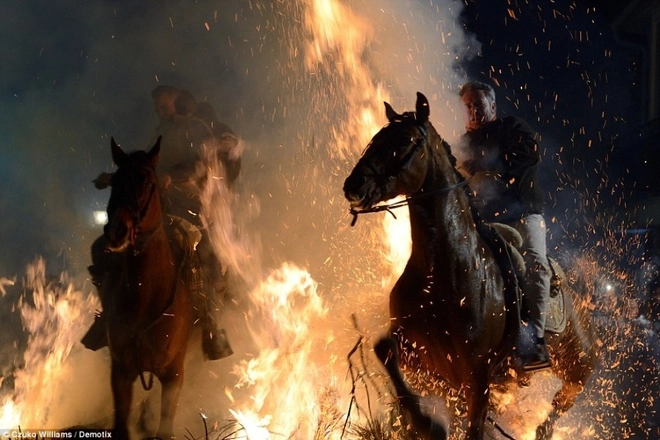 Lễ hội phi ngựa qua lửa độc đáo ở tây ban nha - 7