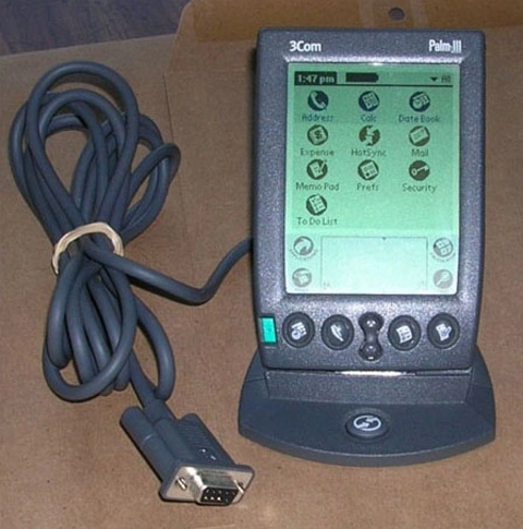 Lịch sử dòng palm - 3