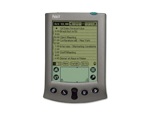 Lịch sử dòng palm - 4