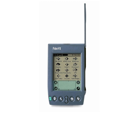 Lịch sử dòng palm - 5