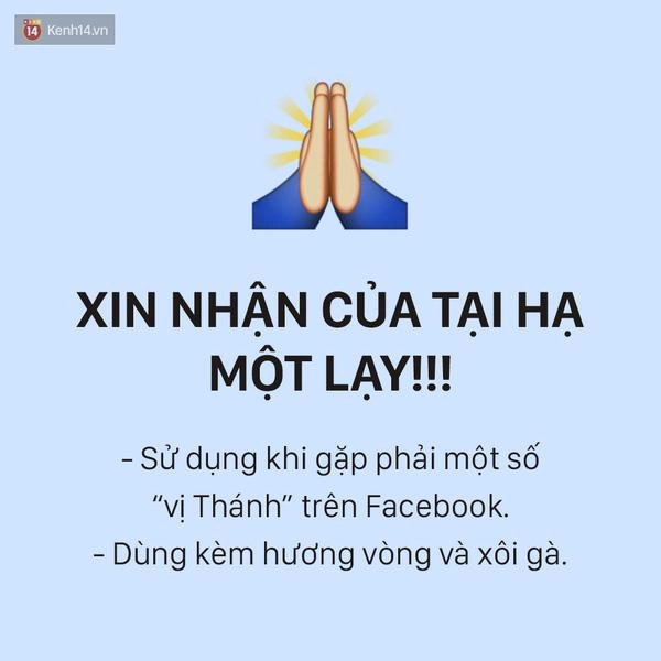 Những biểu tượng cảm xúc facebook cần làm riêng cho cộng đồng mạng việt nam - 14