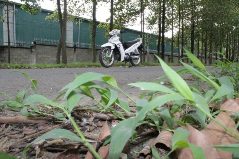 Sirius độ phong cách style drag - 7