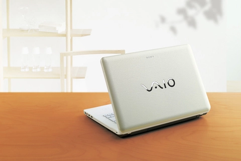 Vẻ đẹp của sony vaio nw mới - 10