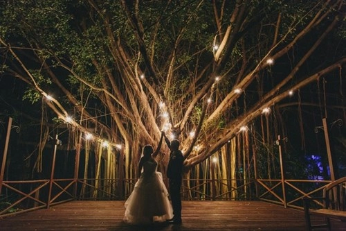 19 bức ảnh cưới với ánh sáng cổ tích khiến tim bạn tan chảy - 7