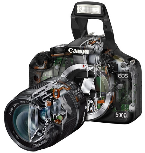 Canon eos 500d kế tục thành công 450d - 4