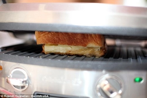 Chiếc bánh sandwich giá 45 triệu đồng - 3