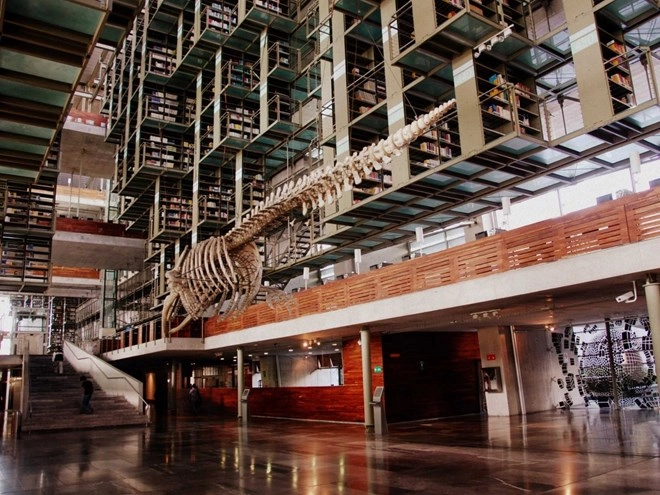 Chiêm ngưỡng 18 siêu thư viện đẹp nhất thế giới - 7