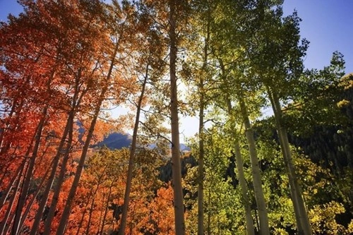 Chùm ảnh tuyệt đẹp về sự thay đổi ngoạn mục thiên nhiên mùa thu p1 - 11