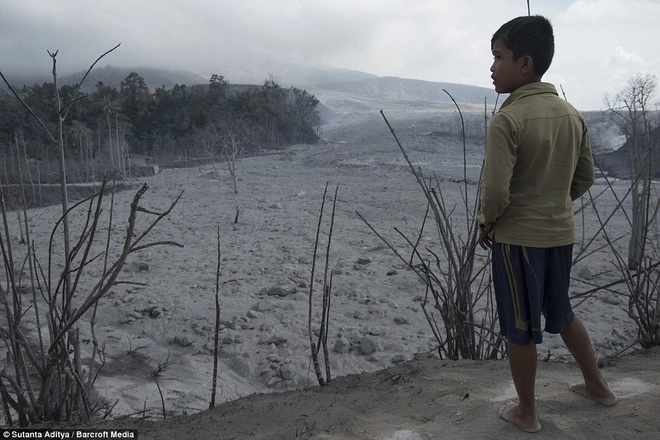 Cuộc sống đau thương dưới chân núi lửa phun trào ở indonesia - 6