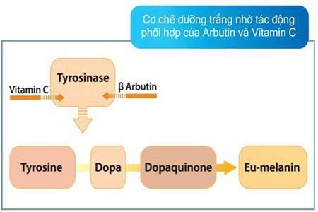 Để làn da trắng hoàn hảo - 2