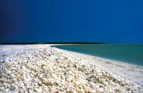 Khám phá 17 bãi biển kỳ lạ và tuyệt đẹp trên khắp thế giới - 26