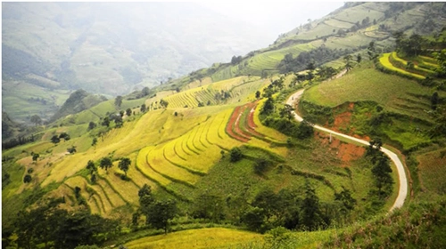 Khám phá những cung đường du xuân nơi tây bắc - 19