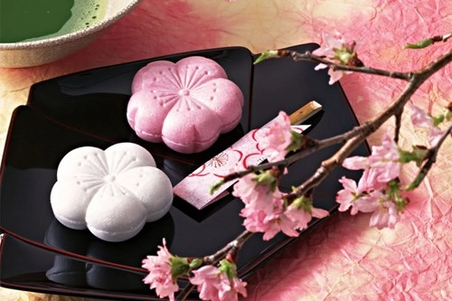 Nghệ thuật ẩm thực nhật trong bánh wagashi - 3